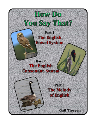 How Do You Say That? 3 volumes Digital