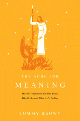 The Ache for Meaning